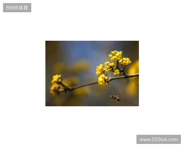 布达佩斯Major第一阶段:战舰轰鸣!FaZe 2-1 RED Canids